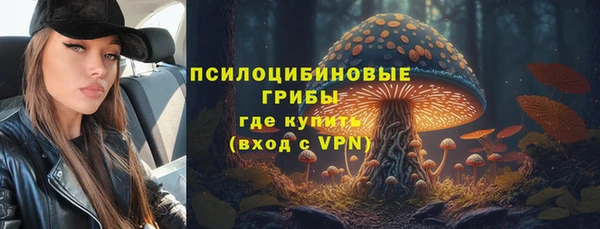 гидра Абдулино